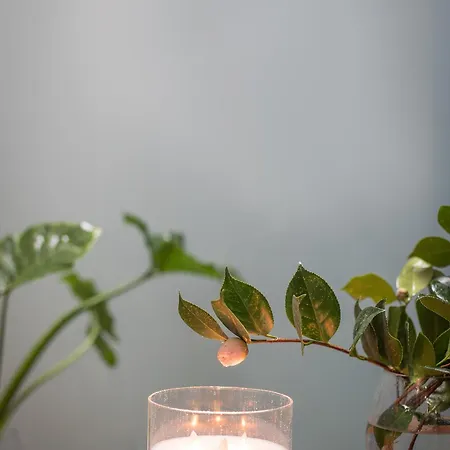 Апартаменты Ria Sal House